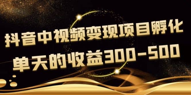 黄岛主《抖音中视频变现项目孵化》单天的收益300-500 操作简单粗暴-巴叔叔资源网