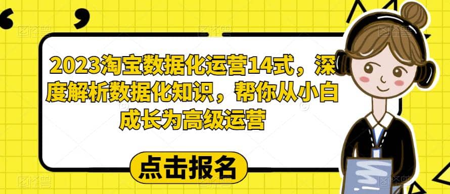 2023淘宝数据化-运营 14式，深度解析数据化知识，帮你从小白成长为高级运营-巴叔叔资源网