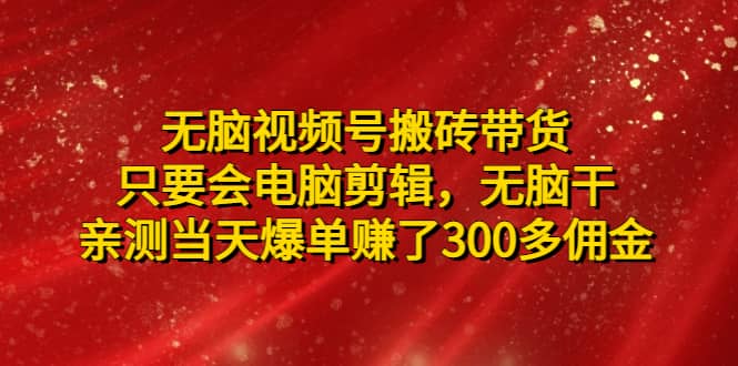 无脑视频号搬砖带货，只要会电脑剪辑，无脑干-巴叔叔资源网