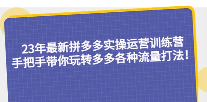 23年最新拼多多实操运营训练营：手把手带你玩转多多各种流量打法！-巴叔叔资源网