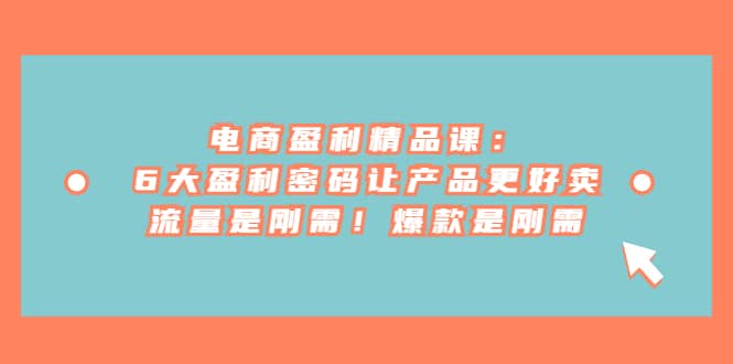 电商 盈利精品课：6大盈利 密码让产品更好卖，流量是刚需！爆款是刚需-巴叔叔资源网