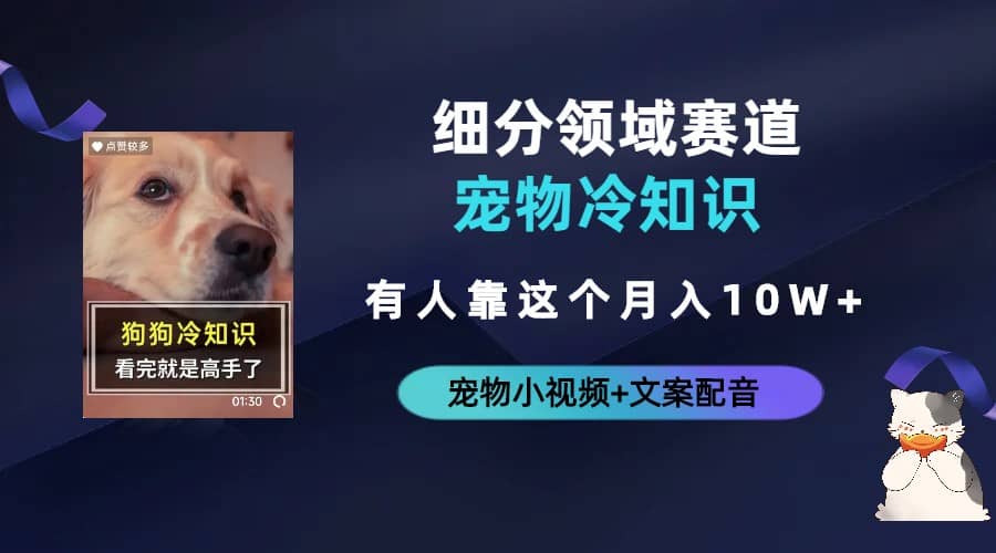 不起眼的抖音细分赛道-宠物冷知识，一段宠物视频配文案，有人靠这个月入10w-巴叔叔资源网