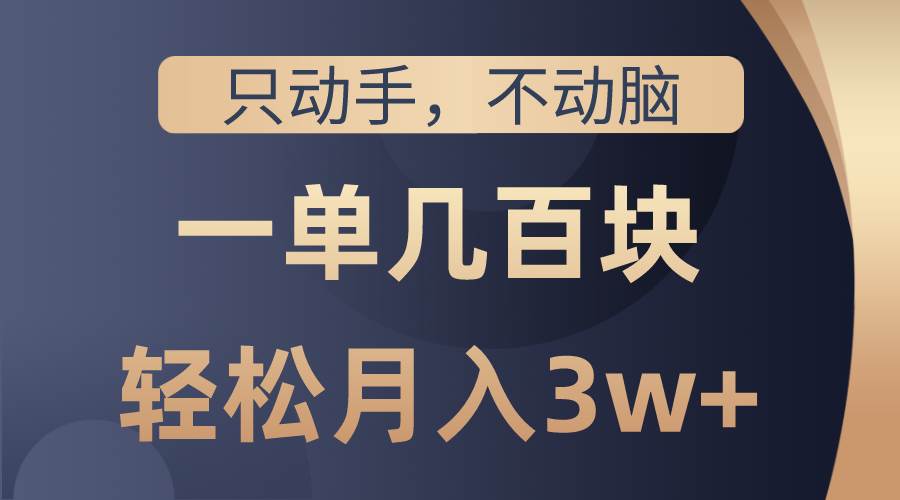只动手不动脑，一单几百块，轻松月入3w+，看完就能直接操作，详细教程-巴叔叔资源网