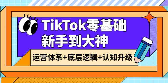 TikTok零基础新手到大神：运营体系+底层逻辑+认知升级（9节系列课）-巴叔叔资源网
