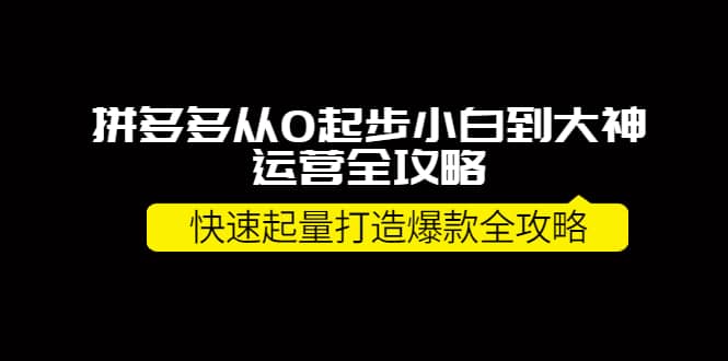 拼多多从0起步小白到大神运营全攻略-巴叔叔资源网