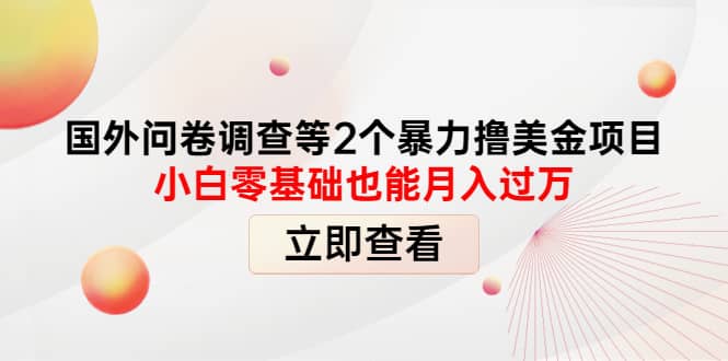 国外问卷调查等2个暴力撸美元项目，小白零基础也能月入过万-巴叔叔资源网