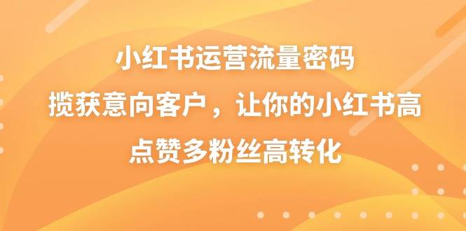 小红书运营流量密码，揽获意向客户，让你的小红书高点赞多粉丝高转化-巴叔叔资源网