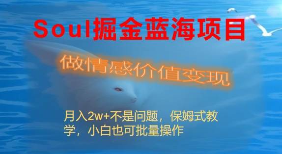 Soul掘金蓝海项目细分赛道，做情感价值变现，月入2w+不是问题-巴叔叔资源网