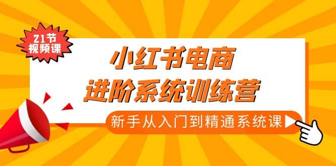 小红书电商进阶系统训练营：新手从入门到精通系统课（21节视频课）-巴叔叔资源网