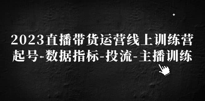 2023直播带货运营线上训练营，起号-数据指标-投流-主播训练-巴叔叔资源网