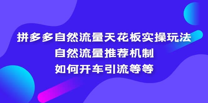 拼多多自然流量天花板实操玩法：自然流量推荐机制，如何开车引流等等-巴叔叔资源网