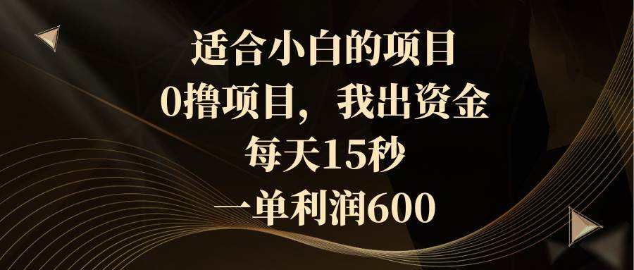 适合小白的项目，0撸项目，我出资金，每天15秒，一单利润600-巴叔叔资源网