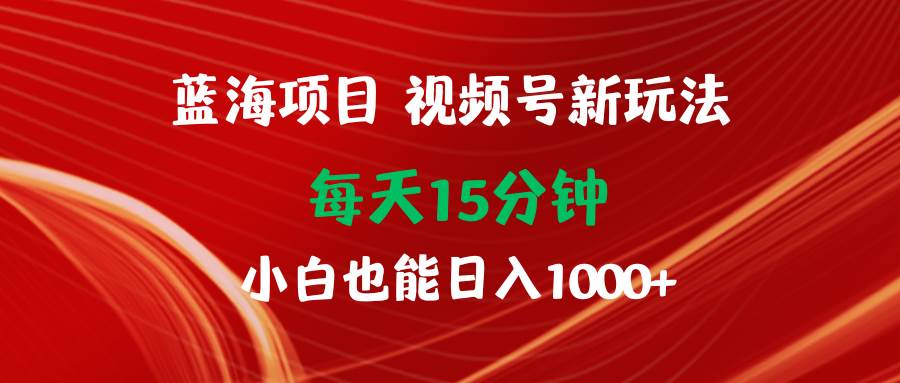 蓝海项目视频号新玩法 每天15分钟 小白也能日入1000+-巴叔叔资源网