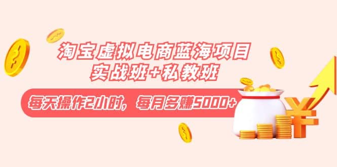 淘宝虚拟电商蓝海项目实战班+私教班-巴叔叔资源网