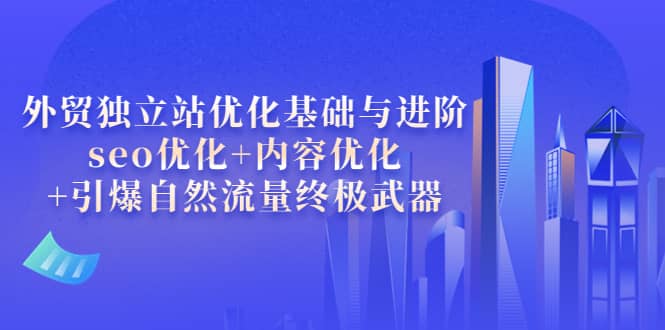 外贸独立站优化基础与进阶，seo优化+内容优化+引爆自然流量终极武器-巴叔叔资源网