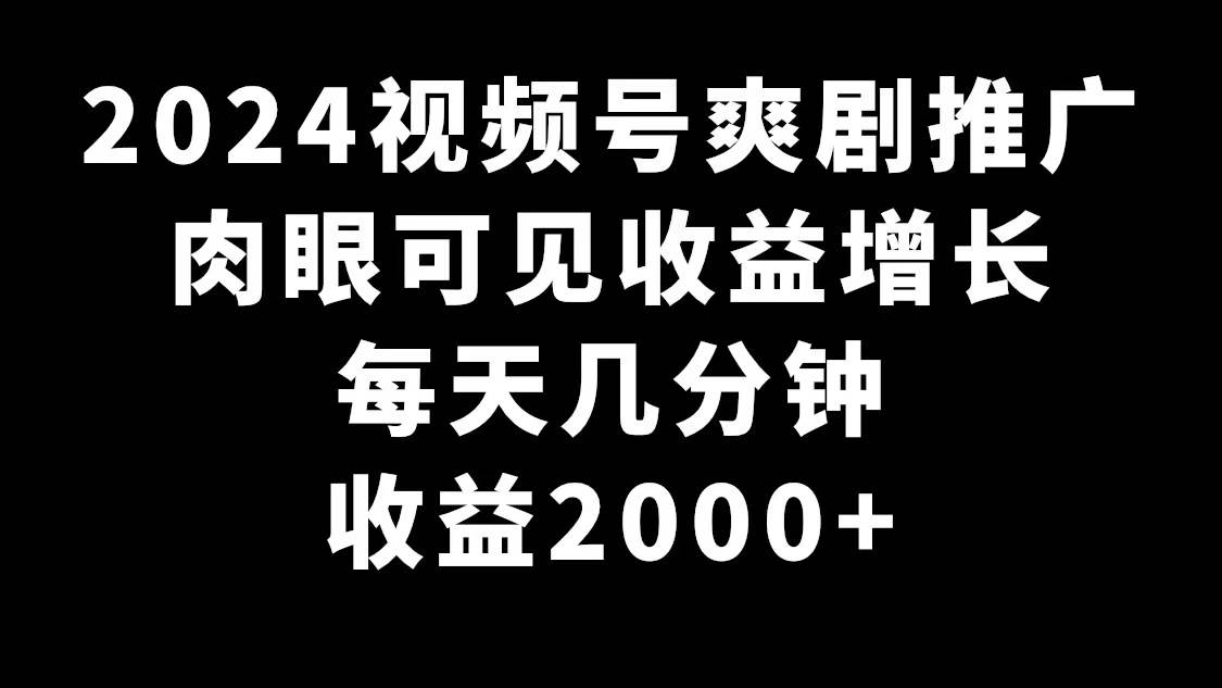 2024视频号爽剧推广，肉眼可见的收益增长，每天几分钟收益2000+-巴叔叔资源网