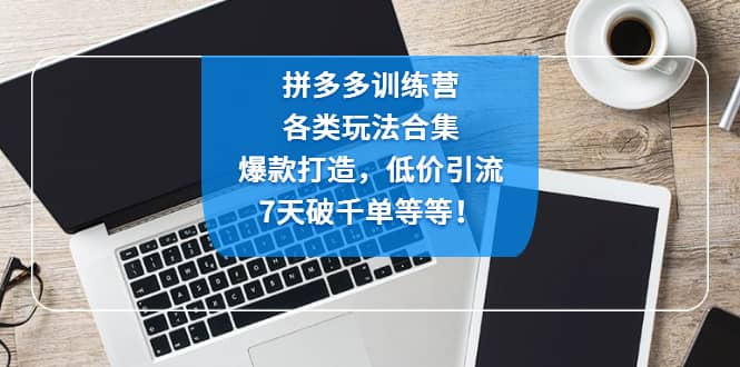 拼多多训练营：各玩法合集，爆款打造，低价引流，7天破千单等等-巴叔叔资源网
