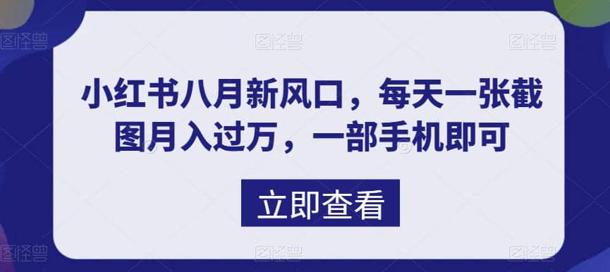 八月新风口，小红书虚拟项目一天收入1000+，实战揭秘-巴叔叔资源网