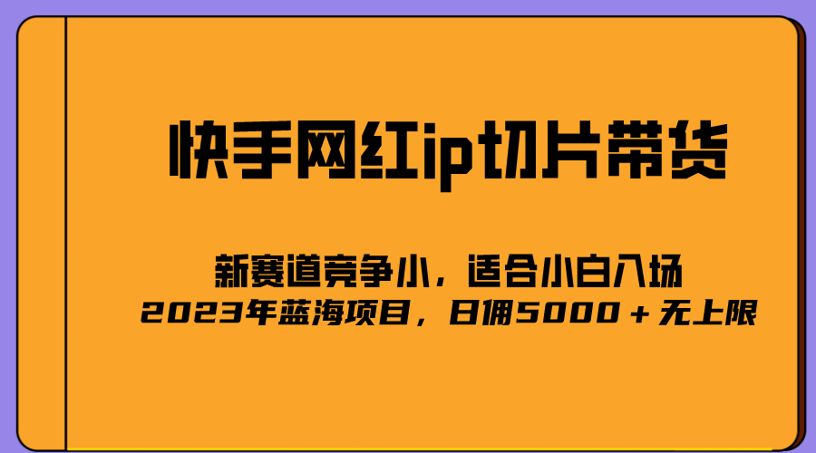 2023爆火的快手网红IP切片，号称日佣5000＋的蓝海项目，二驴的独家授权-巴叔叔资源网