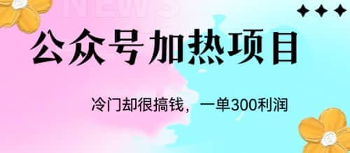 冷门公众号加热项目，一单利润300+-巴叔叔资源网