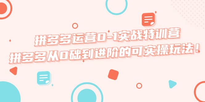 拼多多运营0-1实战特训营，拼多多从0础到进阶的可实操玩法-巴叔叔资源网