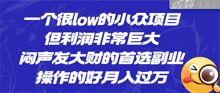 一个很low的小众项目，但利润非常巨大，闷声发大财的首选副业，月入过万-巴叔叔资源网