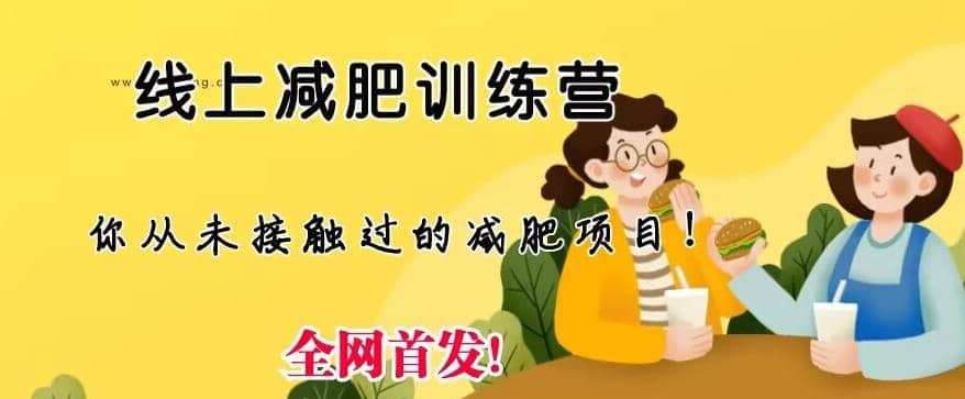 线上减肥训练营，足不出户，仅靠拉几个社群，发几条朋友圈，就可以月实现入五位【揭秘】-巴叔叔资源网