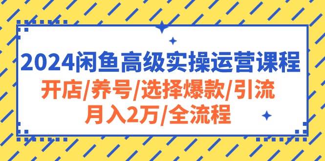 2024闲鱼高级实操运营课程：开店/养号/选择爆款/引流/月入2万/全流程-巴叔叔资源网