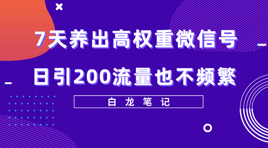 7天养出高权重微信号，日引200流量也不频繁，方法价值3680元-巴叔叔资源网