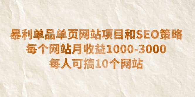 暴利单品单页网站项目和SEO策略 每个网站月收益1000-3000 每人可搞10个-巴叔叔资源网
