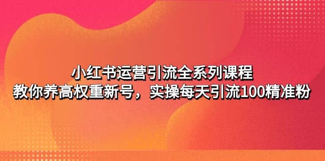 小红书运营引流全系列课程：教你养高权重新号-巴叔叔资源网
