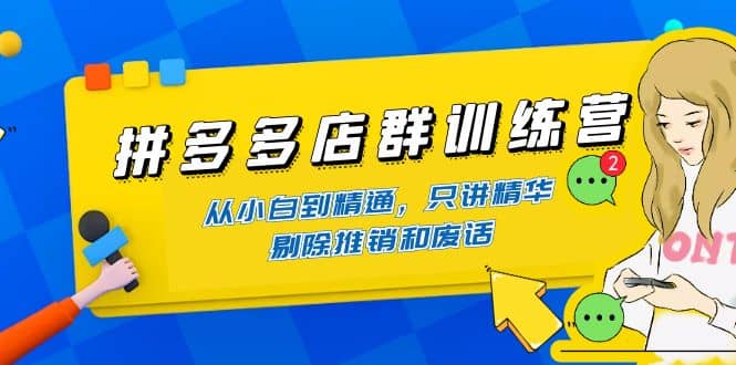拼多多店群训练营：从小白到精通，只讲精华，剔除推销和废话-巴叔叔资源网
