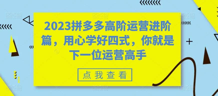 2023拼多多高阶运营进阶篇，用心学好四式，你就是下一位运营高手-巴叔叔资源网