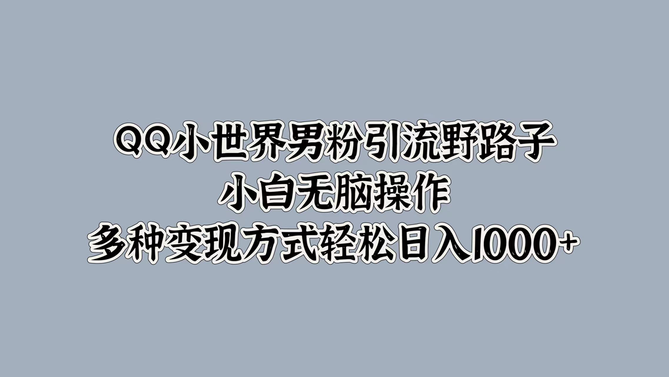 QQ小世界男粉引流野路子，小白无脑操作，多种变现方式轻松日入1000+-巴叔叔资源网