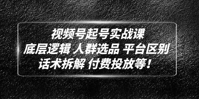 视频号起号实战课：底层逻辑 人群选品 平台区别 话术拆解 付费投放等-巴叔叔资源网