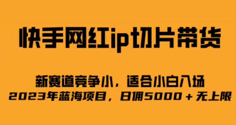 快手网红ip切片新赛道，竞争小事，适合小白 2023蓝海项目-巴叔叔资源网