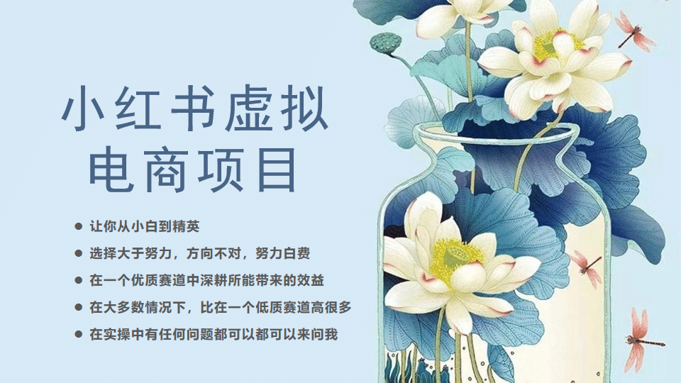 小红书虚拟电商从0到1，让你从小白到精英（20节实操课程）-巴叔叔资源网