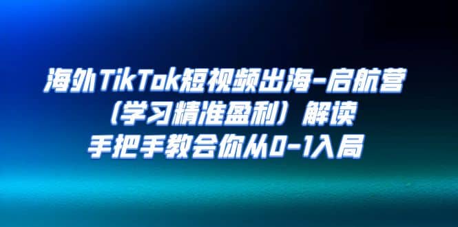 海外TikTok短视频出海-启航营（学习精准盈利）解读，手把手教会你从0-1入局-巴叔叔资源网