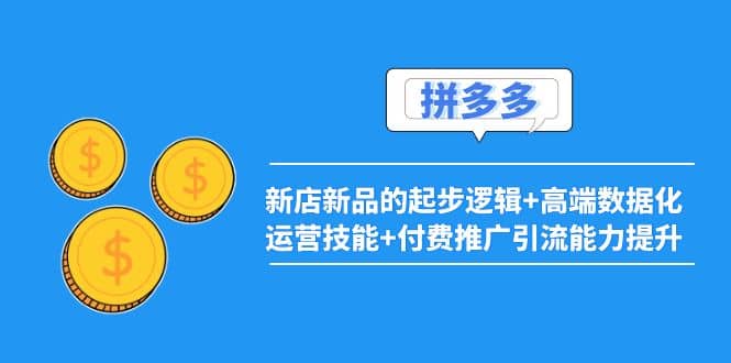 2022拼多多：新店新品的起步逻辑+高端数据化运营技能+付费推广引流能力提升-巴叔叔资源网