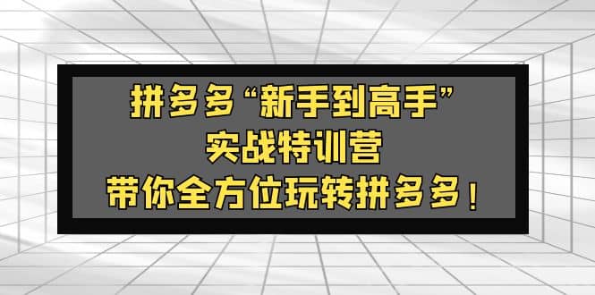拼多多“新手到高手”实战特训营：带你全方位玩转拼多多-巴叔叔资源网