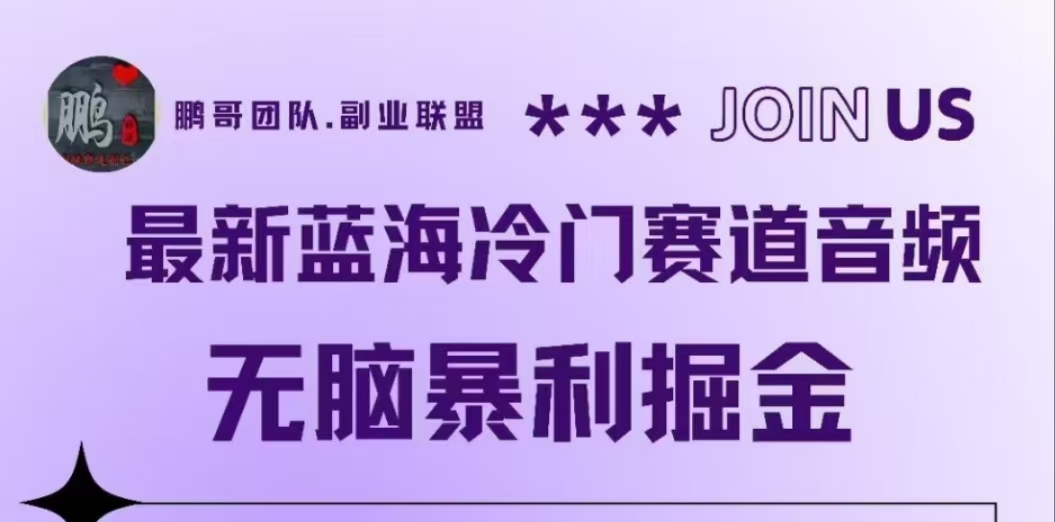 最新蓝海冷门赛道音频，无脑暴利掘金-巴叔叔资源网