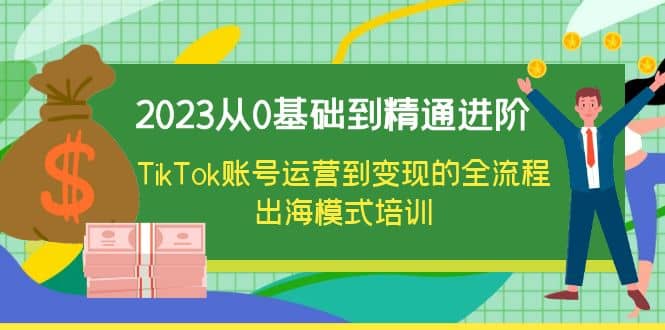 2023从0基础到精通进阶，TikTok账号运营到变现的全流程出海模式培训-巴叔叔资源网