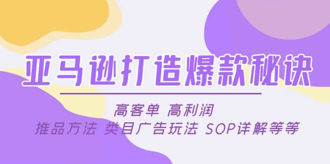 亚马逊打造爆款秘诀：高客单 高利润 推品方法 类目广告玩法 SOP详解等等-巴叔叔资源网
