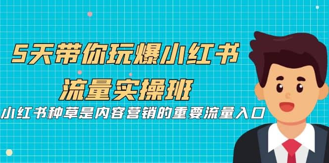 5天带你玩爆小红书流量实操班，小红书种草是内容营销的重要流量入口-巴叔叔资源网