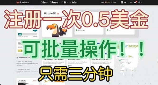 国外项目注册一次0.5美金 只需三分钟无脑操作 可批量放大 小白工作室福利-巴叔叔资源网