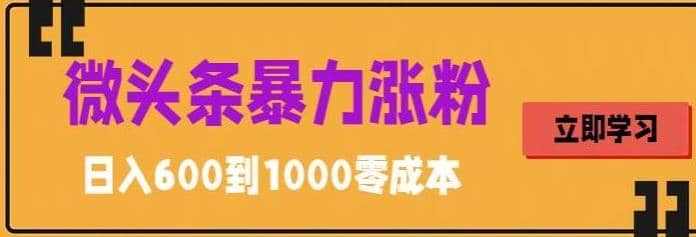 微头条暴力涨粉技巧搬运文案就能涨几万粉丝，简单0成本，日赚600-巴叔叔资源网