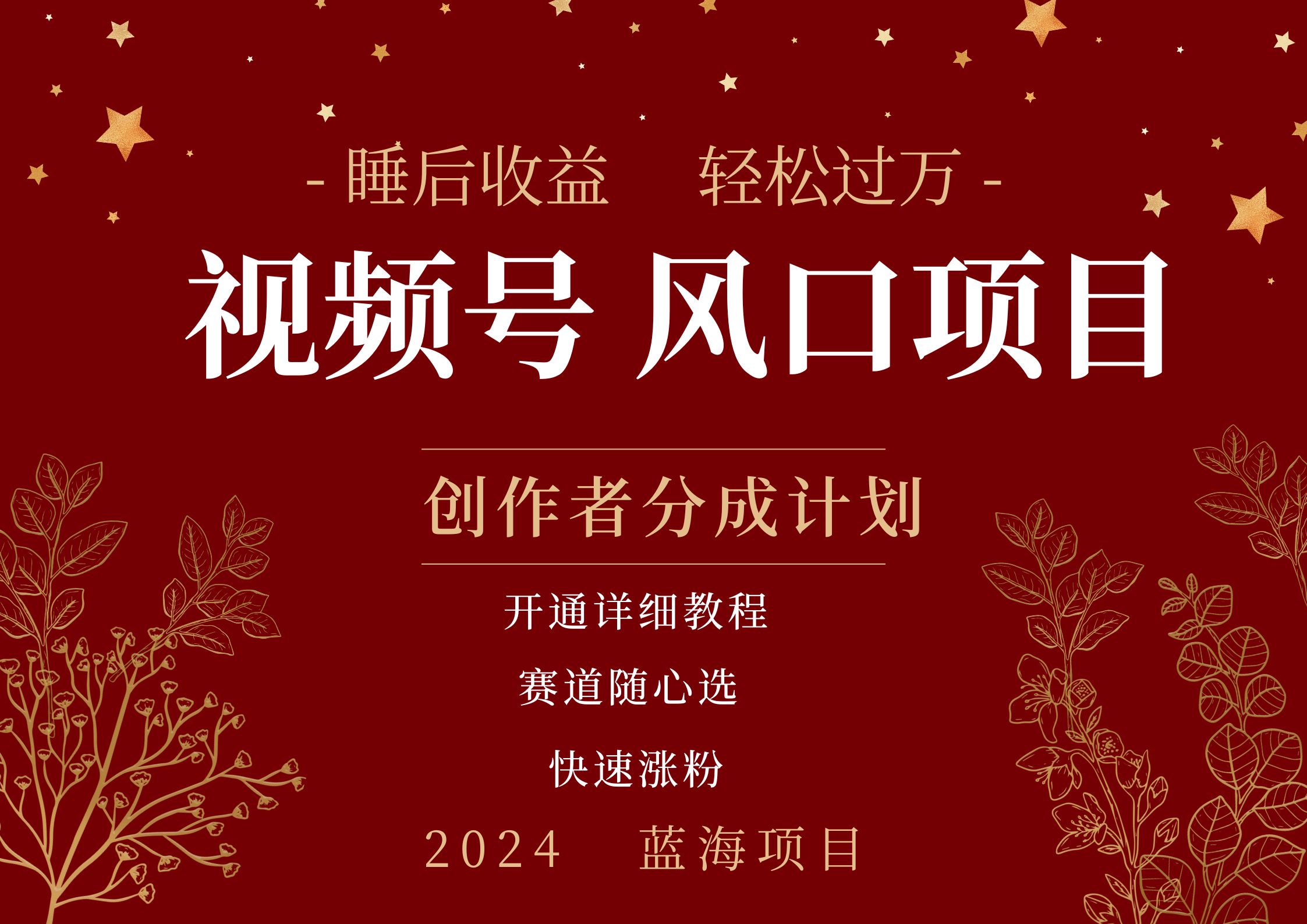 拥有睡眠收益的微信视频号大风口项目，轻松月入过万+，多赛道选择，可矩阵，玩法简单轻松上手-巴叔叔资源网