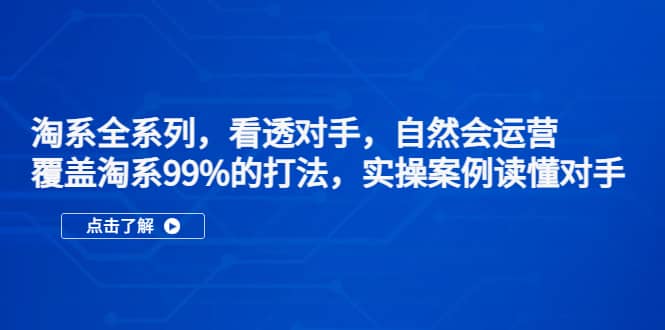 淘系全系列，看透对手，自然会运营，覆盖淘系99%·打法，实操案例读懂对手-巴叔叔资源网