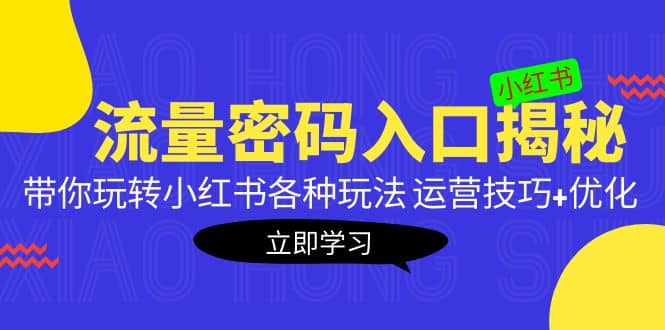 小红书流量密码入口揭秘：带你玩转小红书各种玩法 运营技巧+优化-巴叔叔资源网