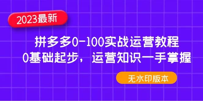 2023拼多多0-100实战运营教程，0基础起步，运营知识一手掌握（无水印）-巴叔叔资源网